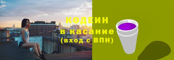 соль ск Богданович