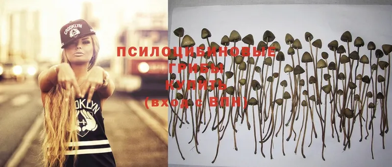 Галлюциногенные грибы MAGIC MUSHROOMS  Нарткала 